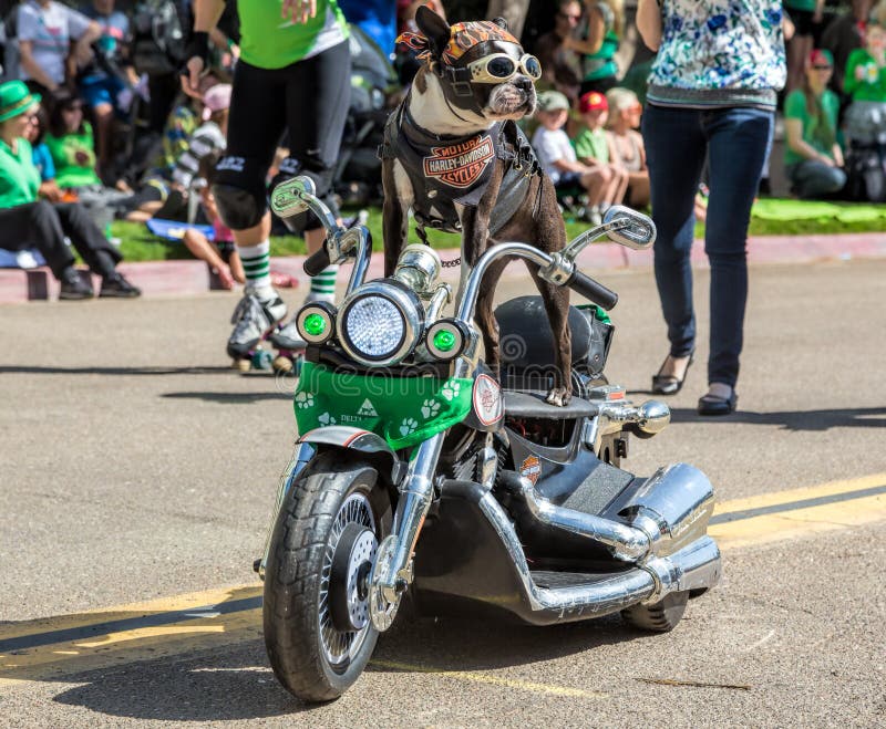 St. Patricks Day Parade