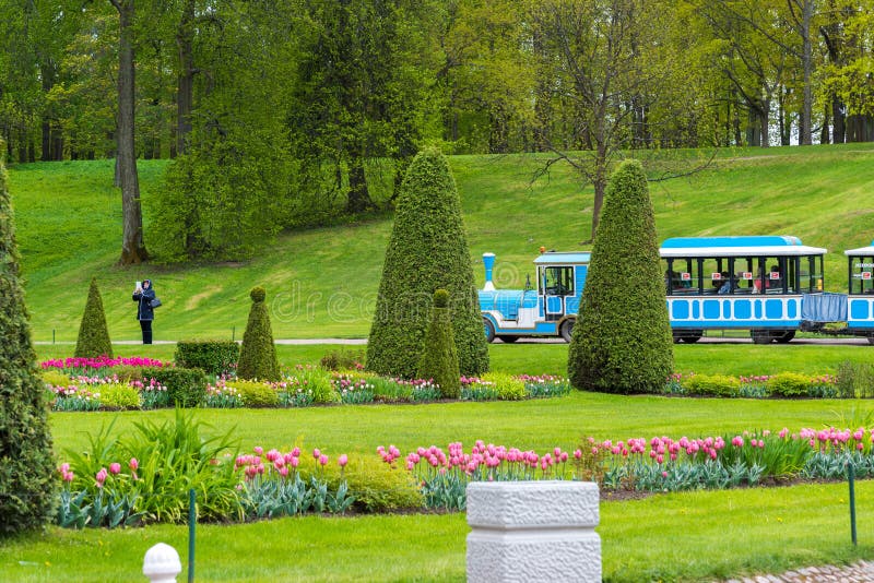 St. Petersburg, Rusland - Juni 3 2017 Bloem parterre voor grote cascadefontein stock foto's St. Petersburg, Rusland - Juni 3 2017 Bloem parterre voor grote cascadefontein stock foto's