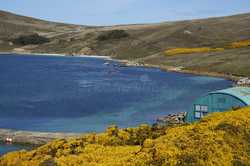 Stabilimento di West Point in Falkland Islands