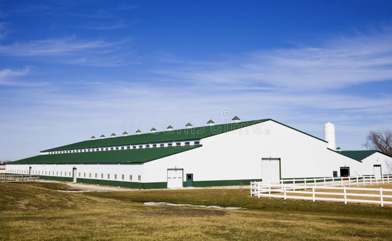 Stable royalty free stock photos