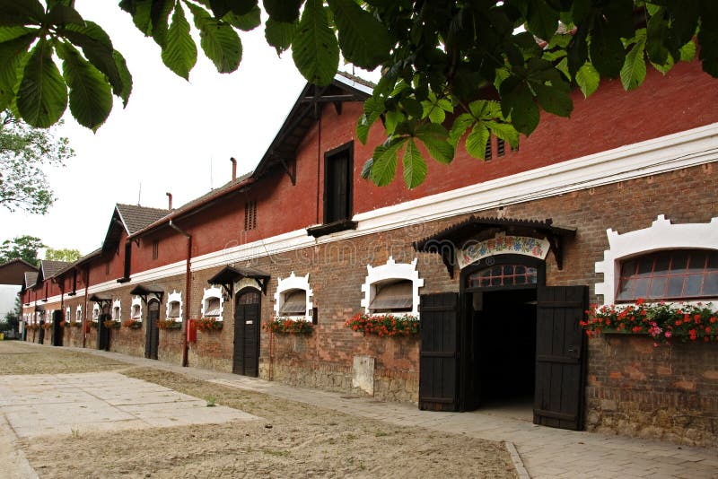 Stables stud farm in Napajedla