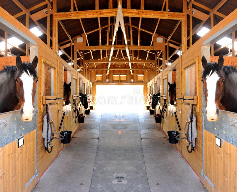 Stables stock image. Image of livestock, horse, accessory 57282797