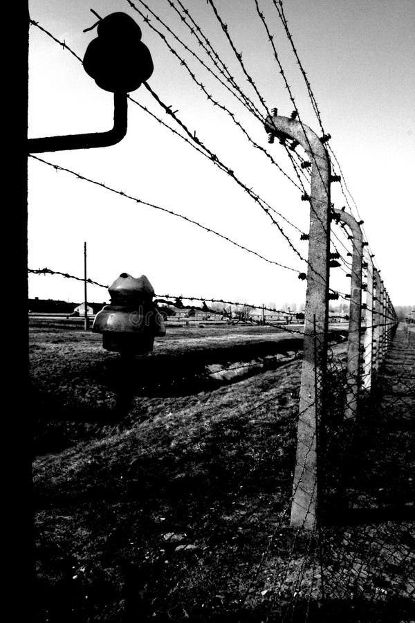 Stacheldraht in Auschwitz stockbild