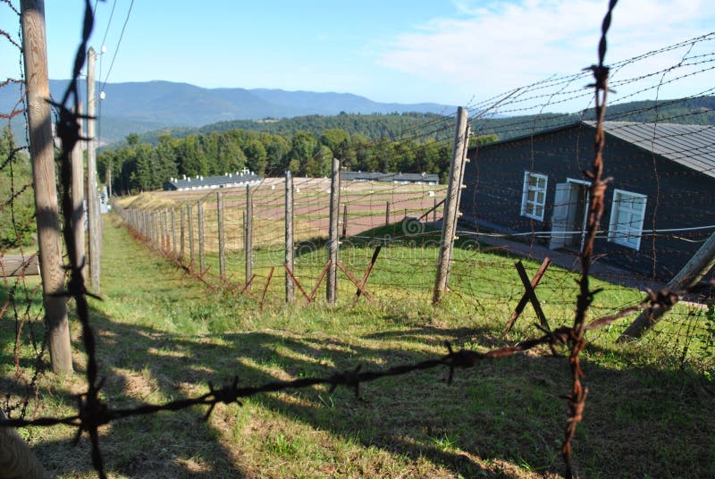 Stacheldrahtring der Grausamkeit stockfoto