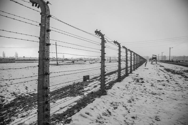 Stacheldrahtzäune in Auschwitz II-Birkenau lizenzfreie stockbilder