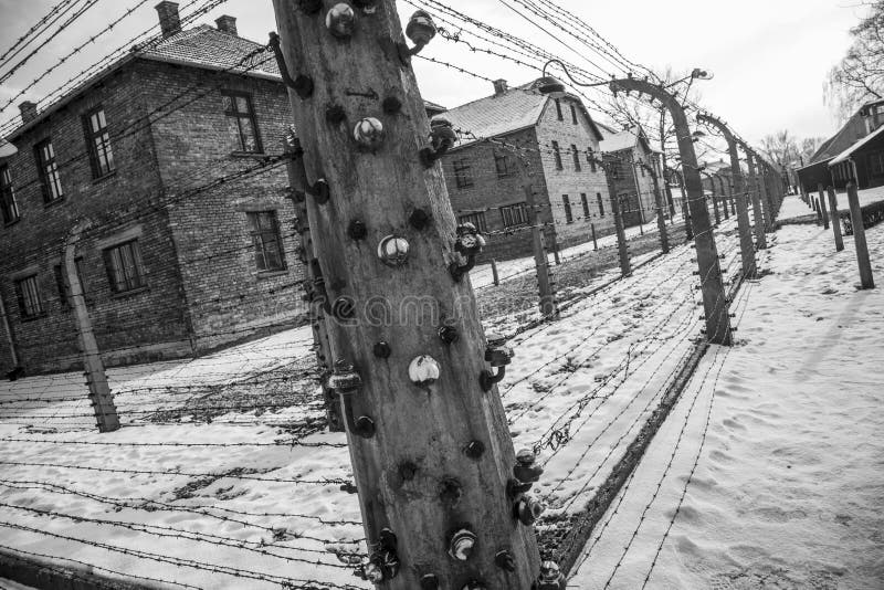 Stacheldrahtzäune in Auschwitz II-Birkenau lizenzfreies stockfoto