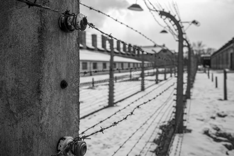 Stacheldrahtzäune in Auschwitz II-Birkenau lizenzfreies stockbild