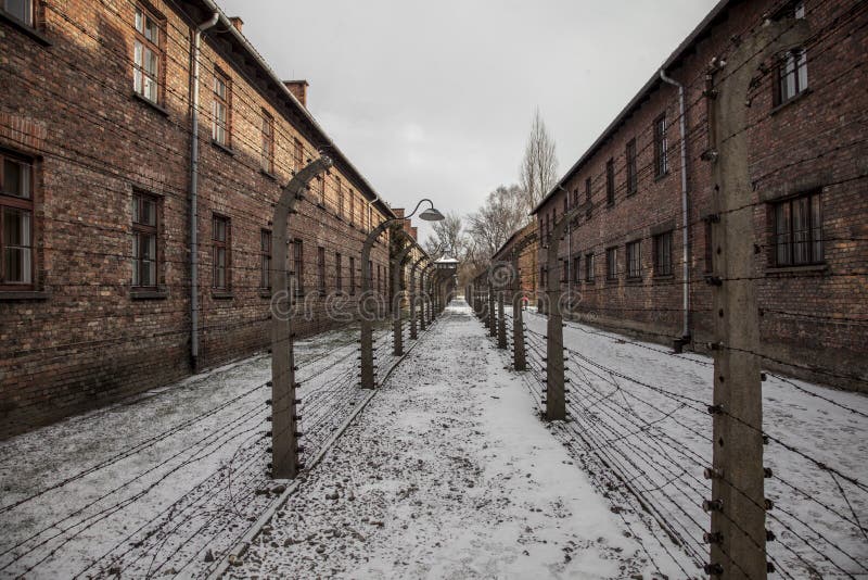 Stacheldrahtzäune in Auschwitz II-Birkenau lizenzfreies stockbild
