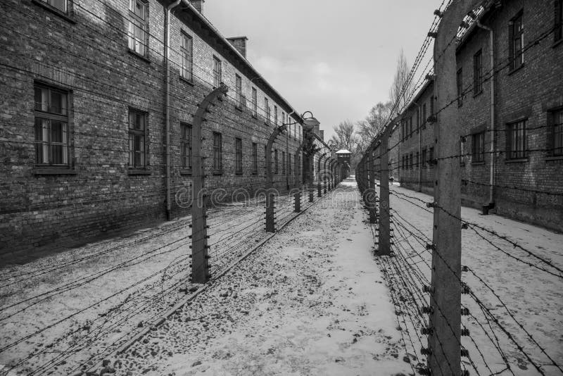 Stacheldrahtzäune in Auschwitz II-Birkenau stockfotografie