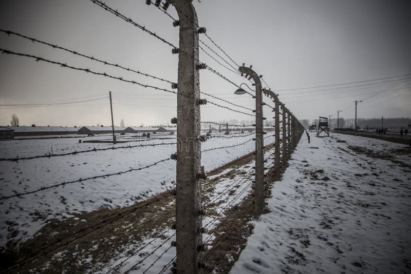 Stacheldrahtzäune in Auschwitz II-Birkenau lizenzfreie stockfotografie