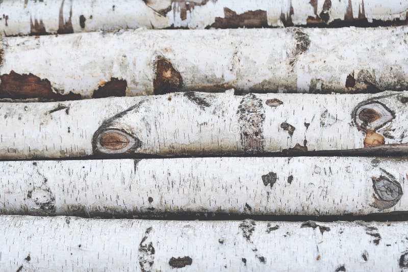 Stack of birch logs wooden background stock photos