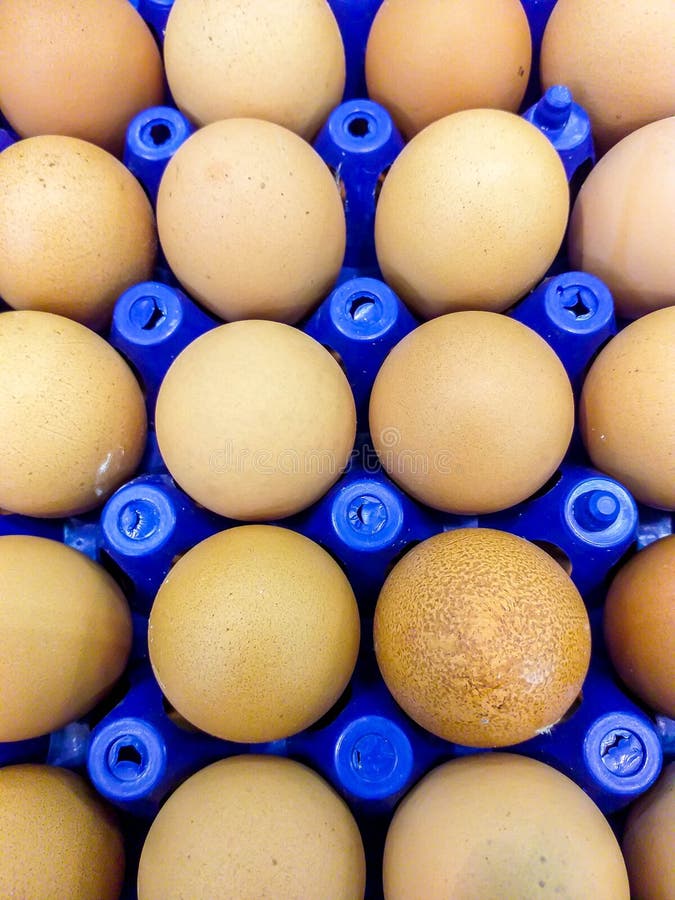 Stack of Chicken Eggs Being Sold at Grocery Store Stock Image Image of diet, fragile 171947623