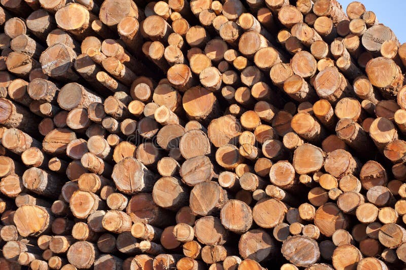 Stack of cut lumber wood stock photo. Image of timber 21267562