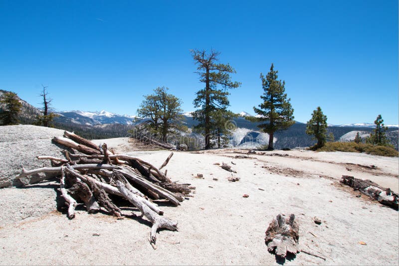 Stack of dead wood at the base of Sub Dome next to Half Dome in Yosemite National Park in California stock photo Stack of dead wood at the base of Sub Dome next to Half Dome in Yosemite National Park in California stock photo