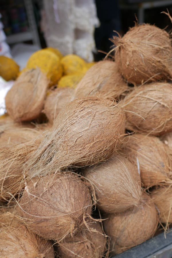Stack of Dry Coconut Display for Sale Stock Photo Image of open