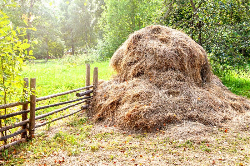 Stack of Dry Hay on Sunny Summer Day Stock Image Image of fodder