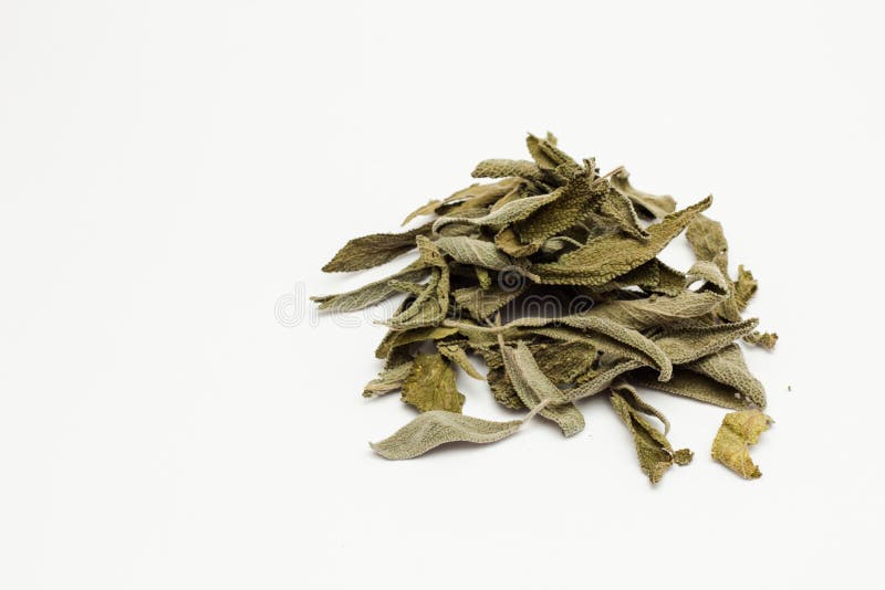 Stack of dry sage leaves stock photo. Image of sick, stack 66885704