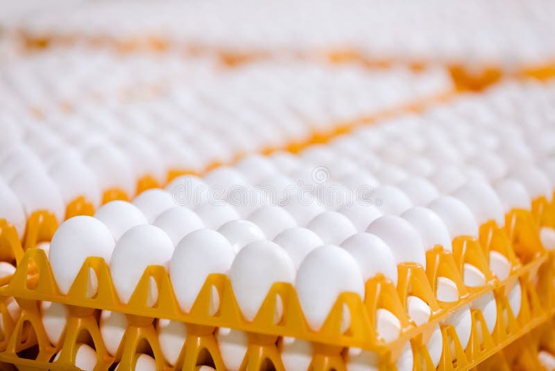 Stack of Eggs on Tray in the Shop Stock Image Image of ingredient