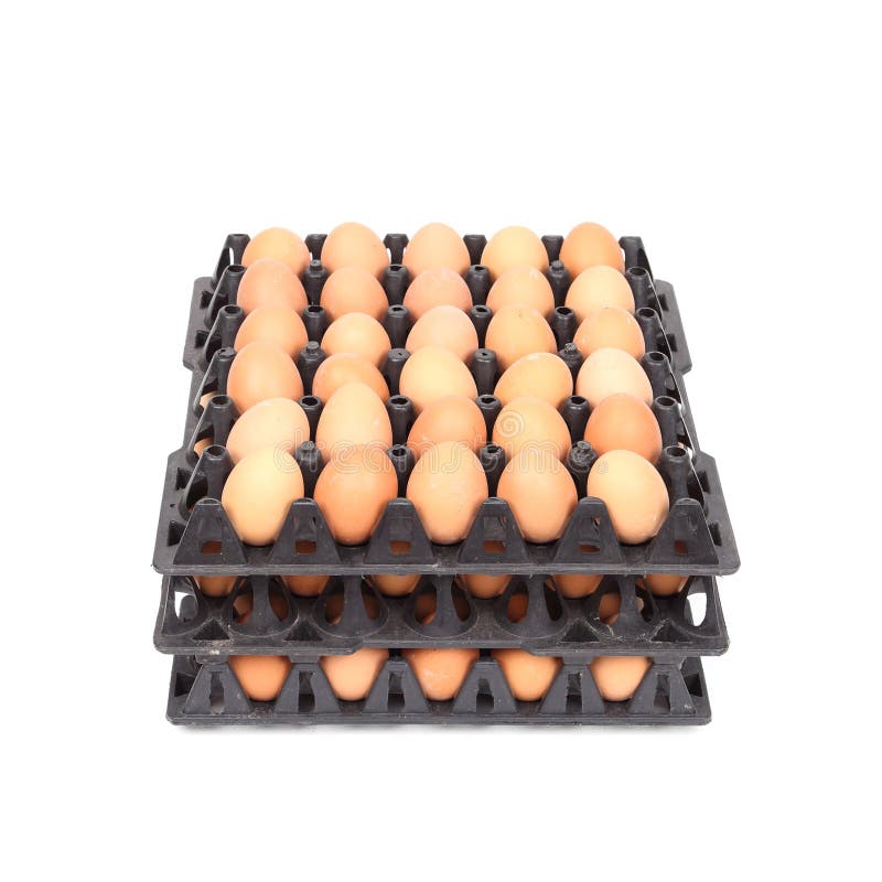 Eggs In Tray On White Background Stock Image Image of background