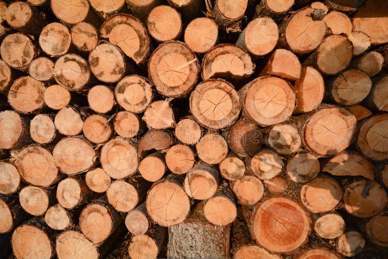 A stack of firewood in front of a barn, Alps Tyrol Austria