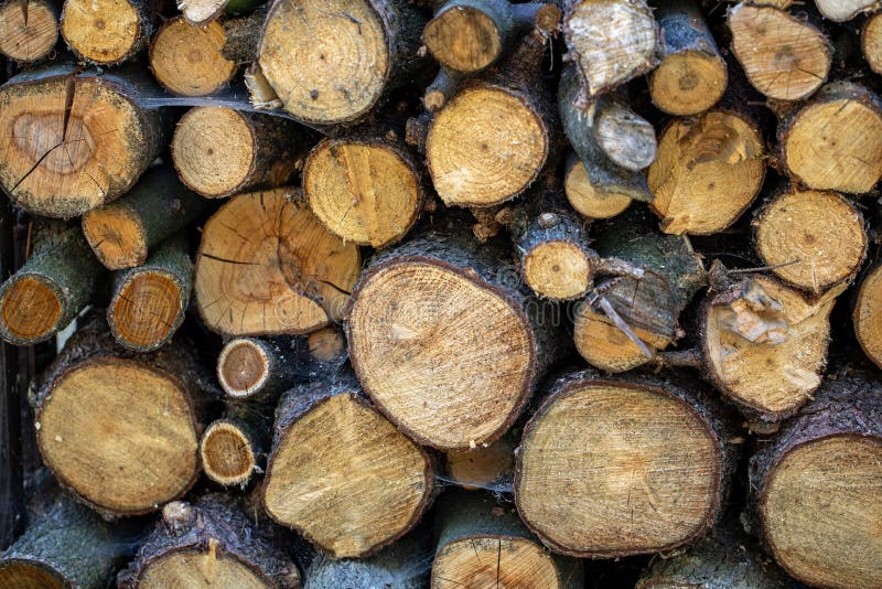 Stack of Firewood Prepared for Winter. Stock Photo Image of softwood