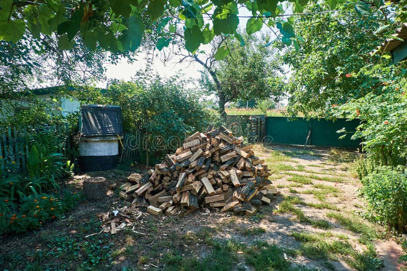 A Stack of Firewood in the Yard Stock Photo Image of green, closeup