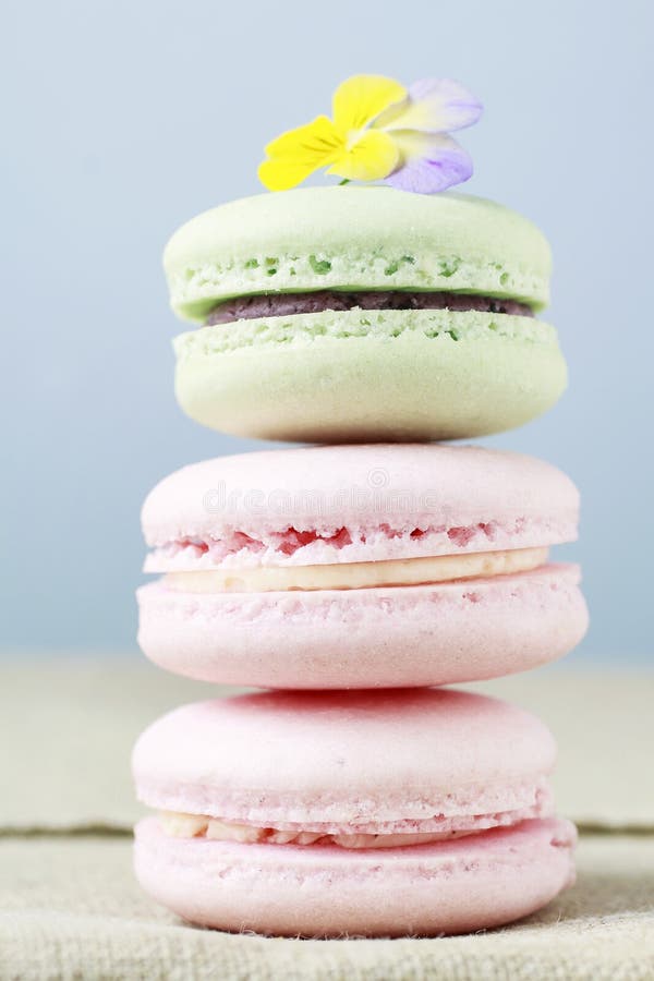 Stack of macaroons stock photo. Image of birthday, book - 48746176