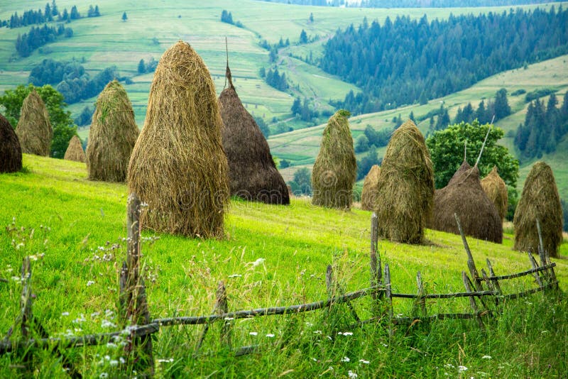 Stack of Hay on a Mountain Meadow on a Hillside. Stock Photo - Image of ...