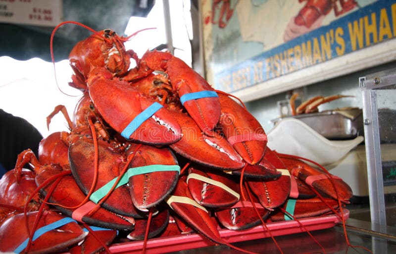 Stack of live red lobsters stock image. Image of wharf 24782249