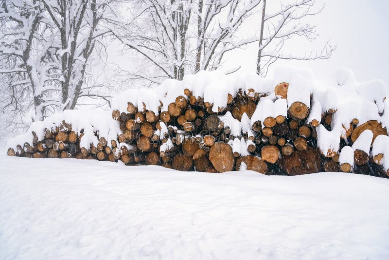 Stack of logs covered in snow in the mountains during heavy snowfall stock photo