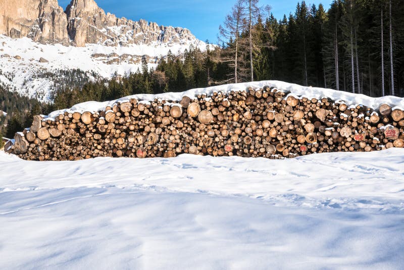 Stack of logs for timber industry in a snowy alpine landscape royalty free stock photos