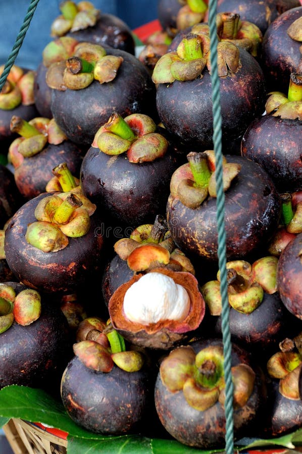 Stack of mangosteen fruit stock photo. Image of individual 29642938