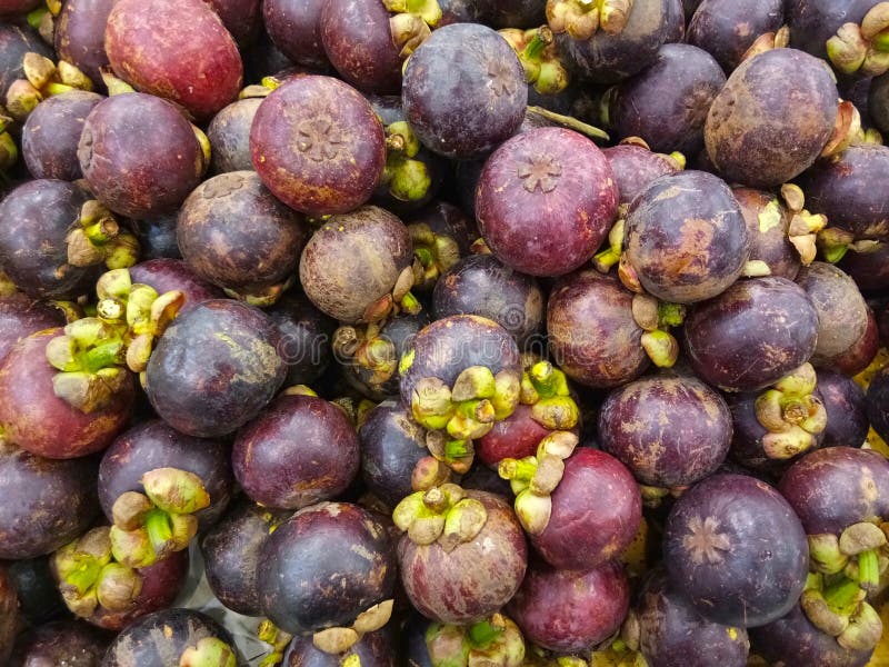 Stack of the Mangosteen Fruit is Being Sold on Fresh Fruit Market
