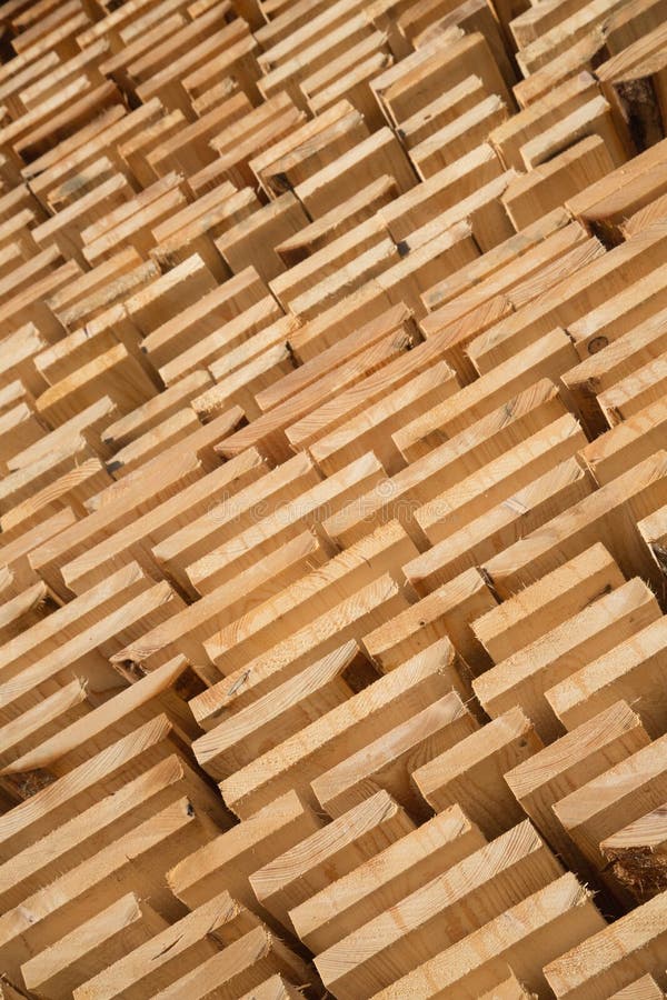 Fresh wooden studs stock photo. Image of fence, pile 110214462