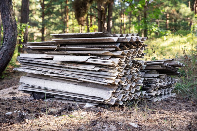 Stack of old asbestos slate roof sheets in forest royalty free stock photography