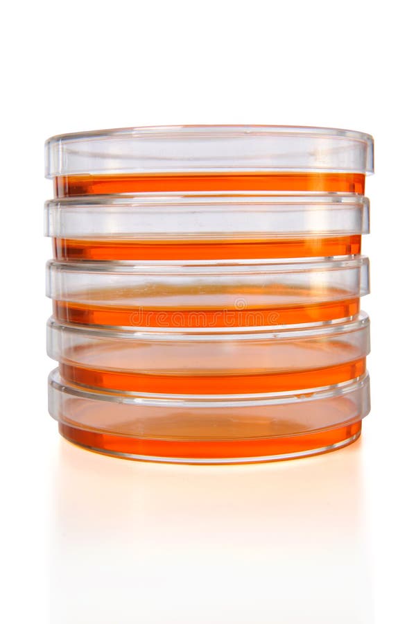 Stack of Petri Dishes stock photo. Image of experiment 15875042