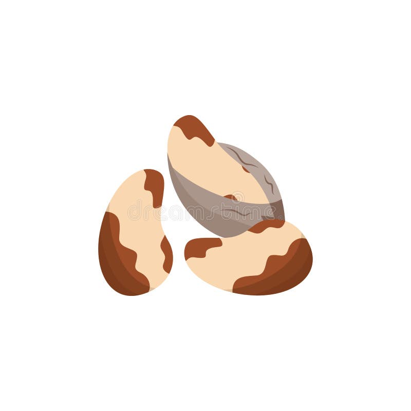 Stack or Pile of Organic Brazil Nuts Flat Cartoon Vector Illustration