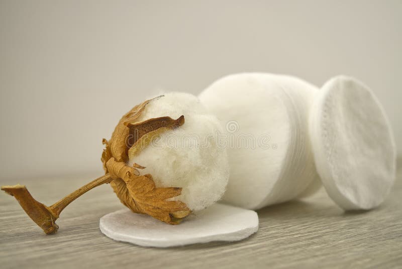 Stack of Round Cotton Pads and Natural Cotton Boll Stock Photo Image