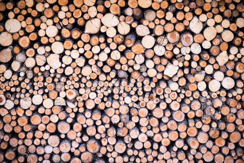 Stack of round cutted firewood pieces
