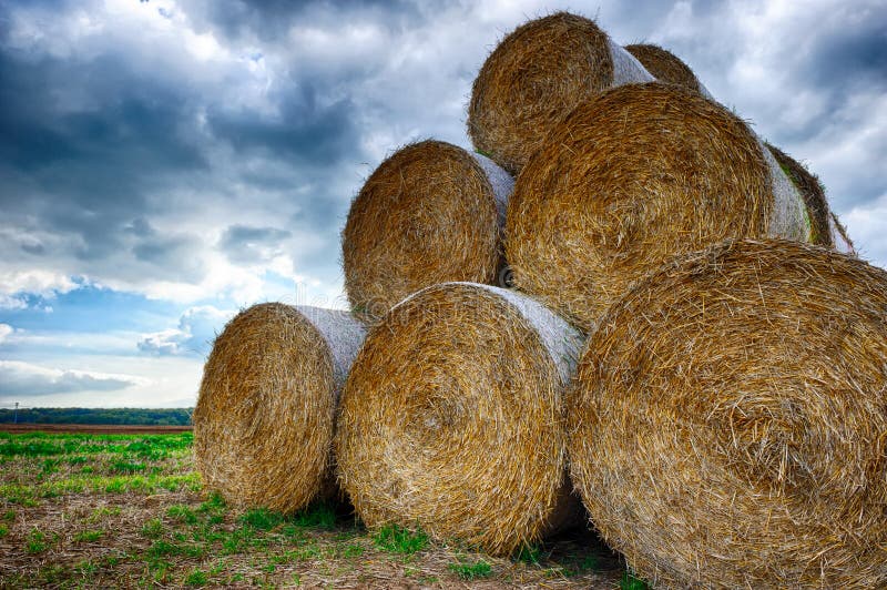 Stack of straw bales stock image. Image of harvesting 34274379