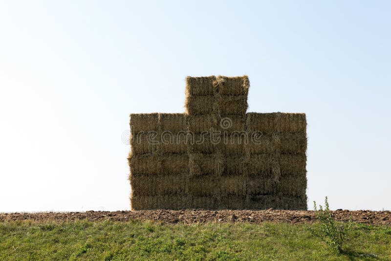 Stack of straw, wheat royalty free stock photo