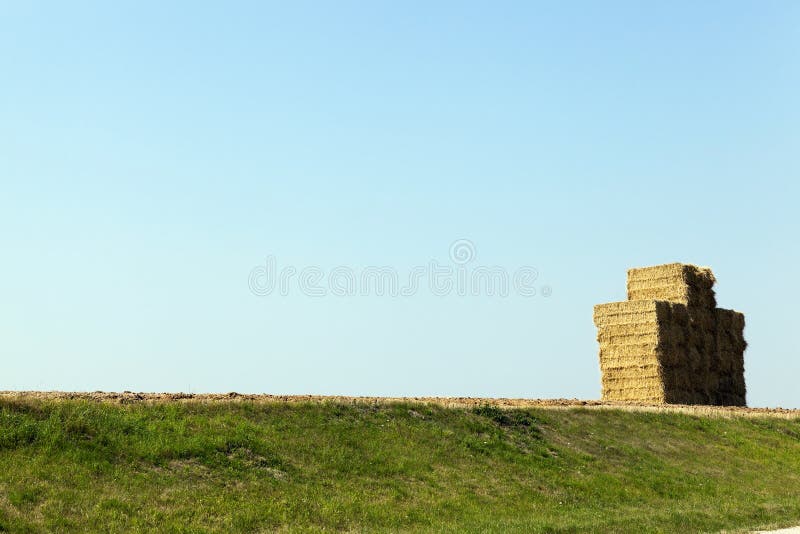Stack of straw, wheat stock photo