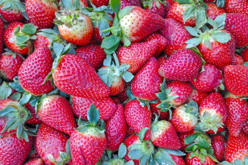 Stack of Strawberries on a Market Stall Stock Photo Image of stall