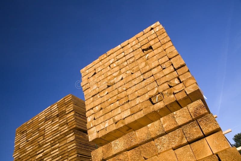 Low angle with of tall stack of cut wood or timber with blue sky background. Low angle with of tall stack of cut wood or timber with blue sky background.