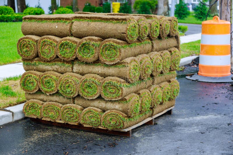 Stack of Turf Grass Rolls for a Lawn Fresh Grass To Decorate Landscape