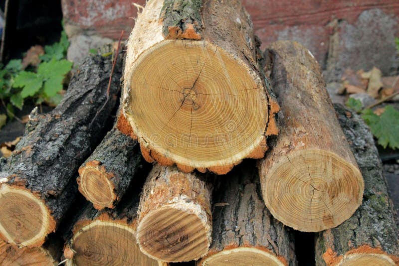Stack of wood stock photos