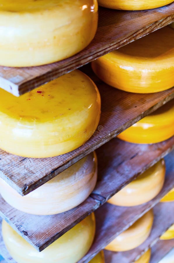 Stacked cheese stock image. Image of
