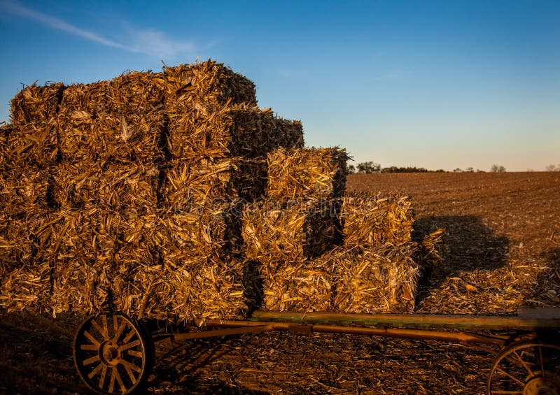 Square Hay Bale with Antique Bale Hooks Stock Photo - Image of field, blue:  58328876