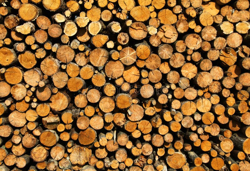 Stacked Logs