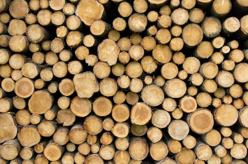 Stacked logs